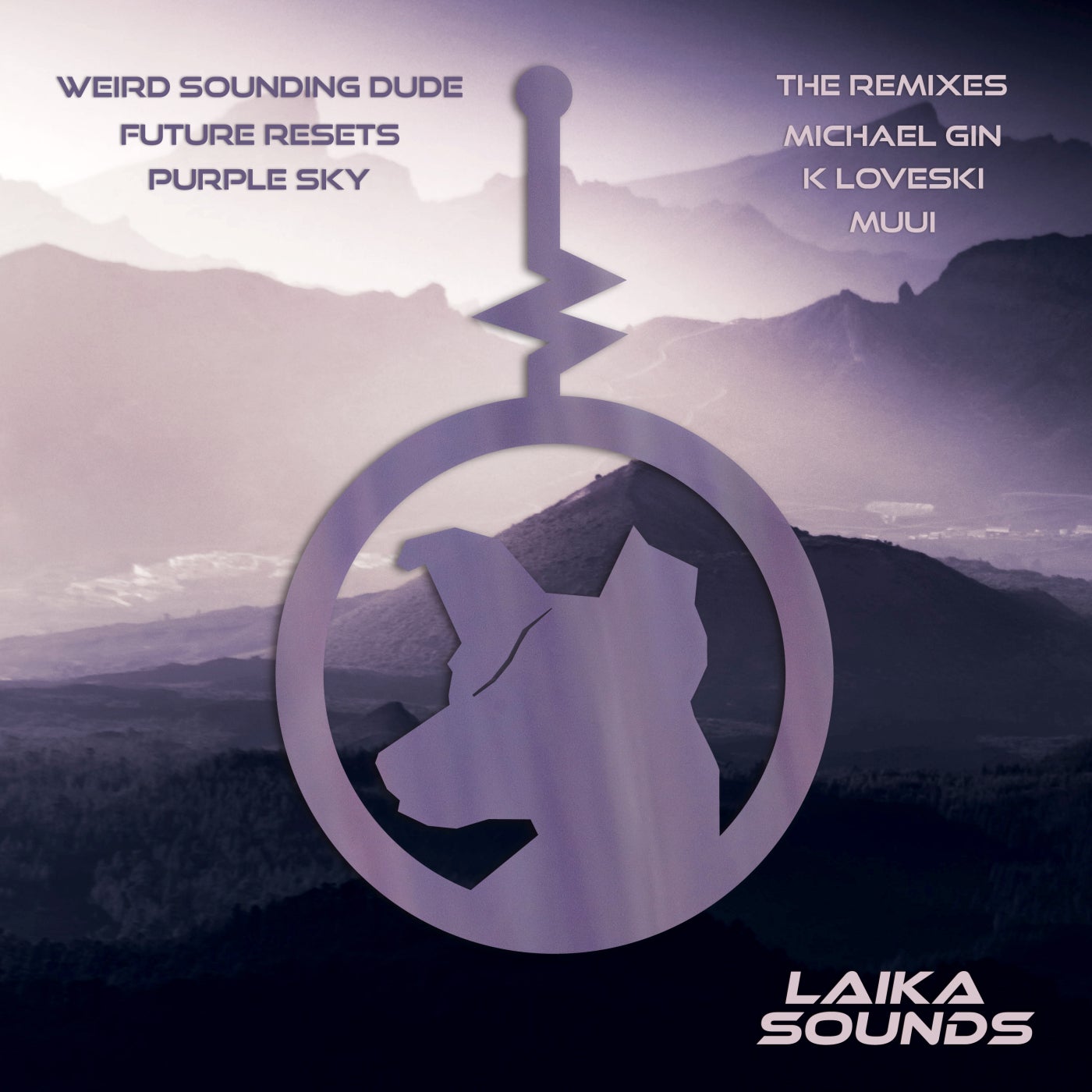 Weird Sounding Dude – Future Resets Remixes [LAIKA024]